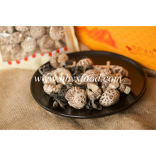 Dried Vegetable Tea Flower Mushroom for Sale